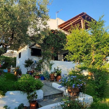 基拉奇尼Sonia'S House With Garden别墅 外观 照片