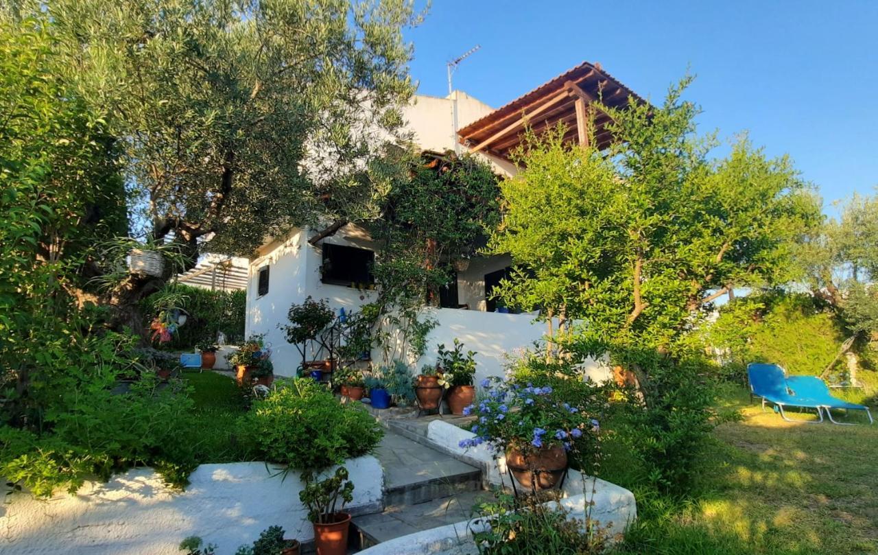 基拉奇尼Sonia'S House With Garden别墅 外观 照片