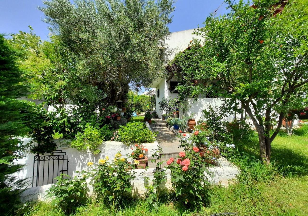 基拉奇尼Sonia'S House With Garden别墅 外观 照片