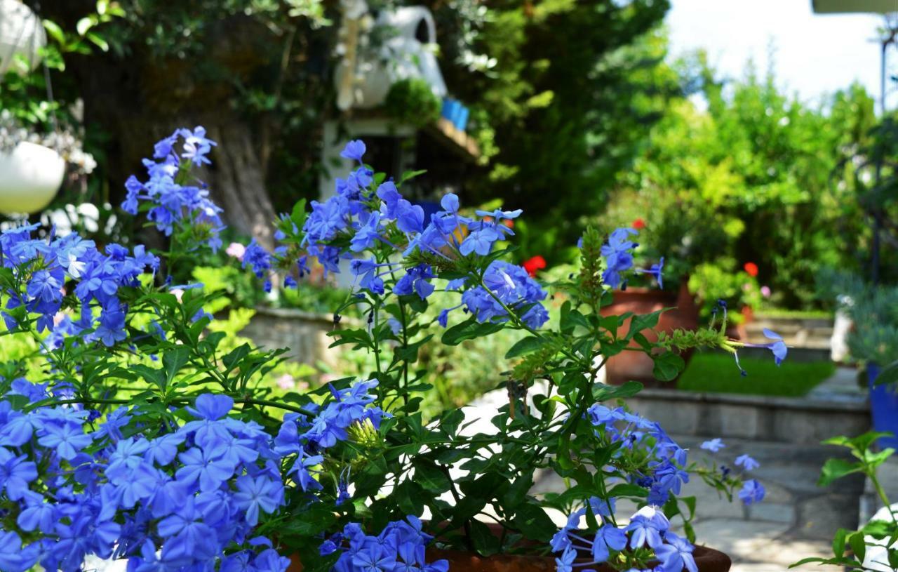 基拉奇尼Sonia'S House With Garden别墅 外观 照片